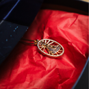 Colar  Nossa Senhora Aparecida Envolvido com Pedras Brilhantes